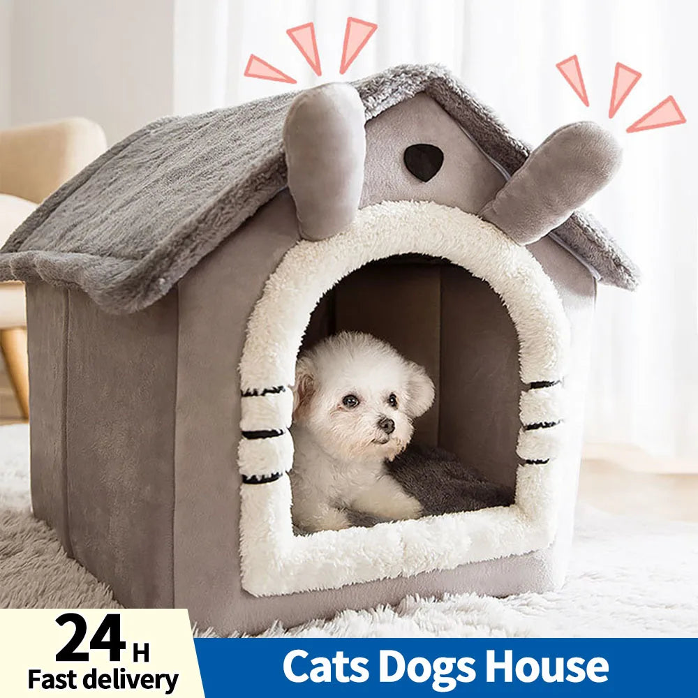 Cute Cats Dogs House