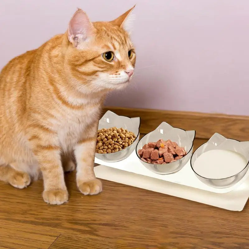 Raised Cat Feeding 3 Dishes Bowls - Pet Wonderland Cloud